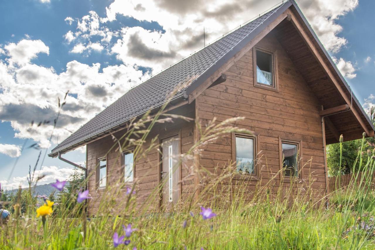 U Jana I Wita Villa Istebna Exterior photo