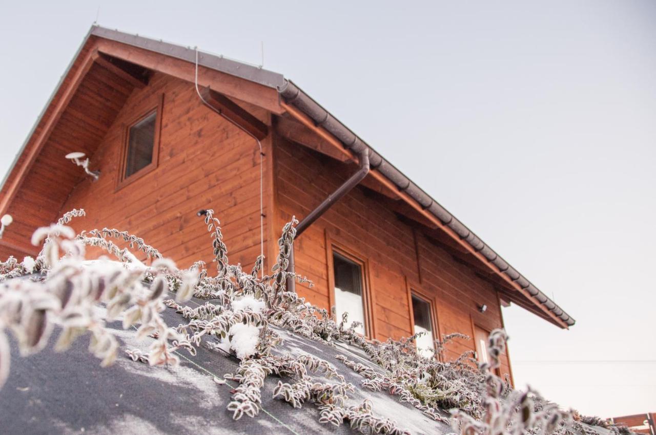 U Jana I Wita Villa Istebna Exterior photo